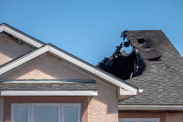 Licensed Fire Damage Assessment service in Brandon, FL - Fire Damage Biloxi
